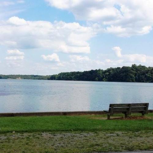 A serene lakeside view with a wooden bench, surrounded by green grass and fluffy clouds in a blue sky.