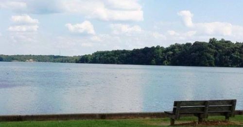 A serene lake view with a grassy shore and a wooden bench, surrounded by lush green trees under a partly cloudy sky.