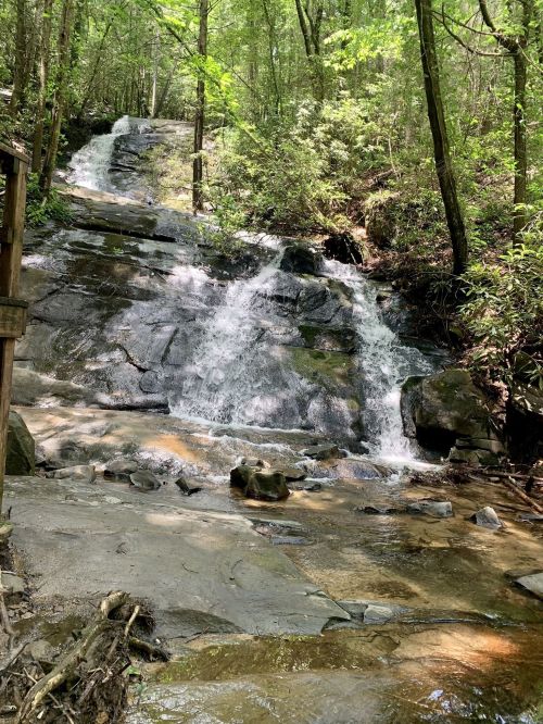 A serene waterfall cascading over rocky terrain, surrounded by lush green trees in a forested area.