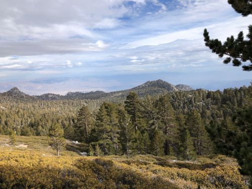 A scenic view of a mountainous landscape with dense pine trees and a cloudy sky in the background.