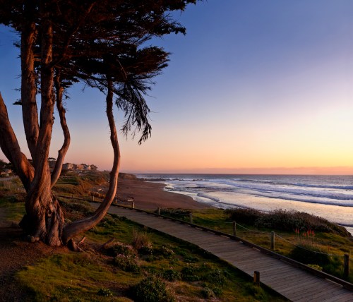 A serene beach at sunset, with a wooden path, trees, and gentle waves under a colorful sky.