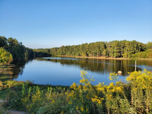 A serene lake surrounded by lush greenery and trees under a clear blue sky.
