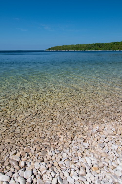 Clear blue water gently lapping against a shore of smooth, light-colored pebbles, with a green forested area in the background.