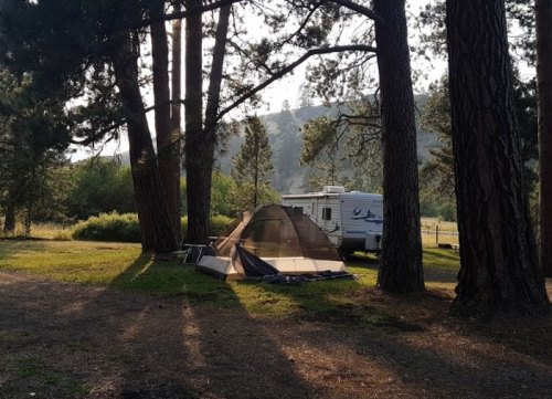 A campsite with a tent and RV surrounded by tall trees and grassy areas, illuminated by soft sunlight.