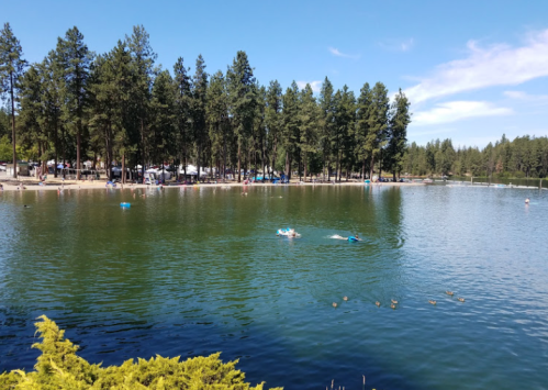 A serene lake surrounded by tall pine trees, with people swimming and enjoying the sunny day.