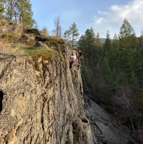 Two climbers scaling a rocky cliff surrounded by trees and a clear sky.