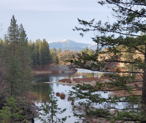 A serene landscape featuring a river winding through trees, with snow-capped mountains in the background.