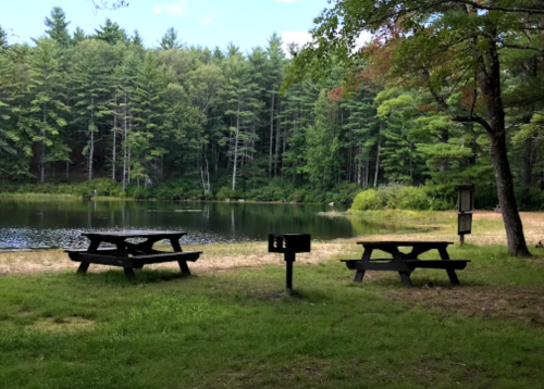 A serene lakeside scene with picnic tables and a grill, surrounded by lush green trees and a calm water surface.