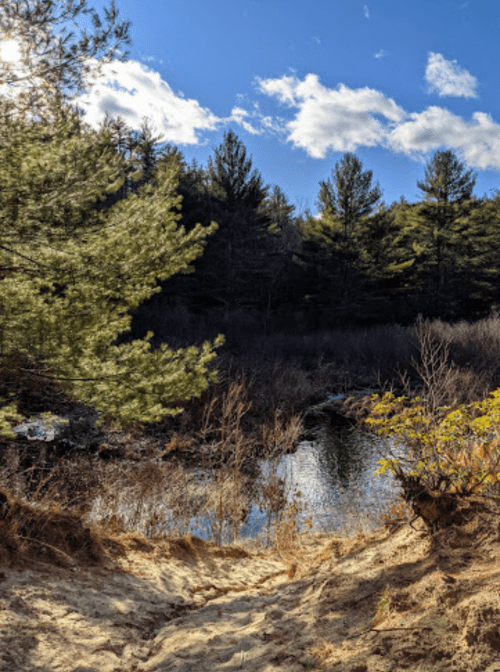 A sandy path leads to a calm water body surrounded by trees under a blue sky with scattered clouds.