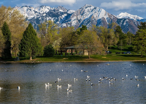 A serene lake surrounded by trees and mountains, with ducks swimming in the water under a partly cloudy sky.