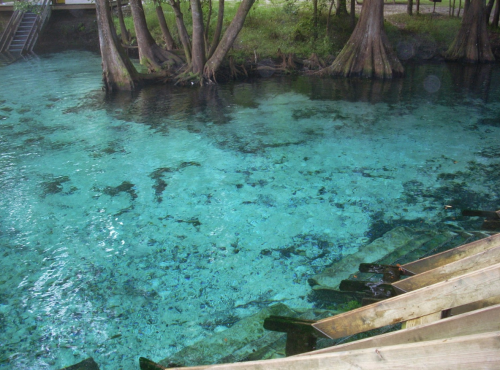 Clear turquoise water surrounded by trees, with wooden steps leading down to the water's edge.