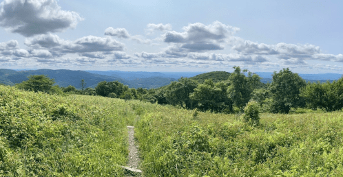 A panoramic view of a lush green landscape with rolling hills and a blue sky dotted with clouds.