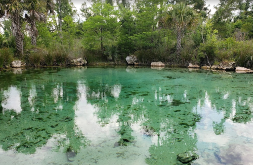 A serene pond surrounded by lush greenery, reflecting trees and clouds on its clear, turquoise water.