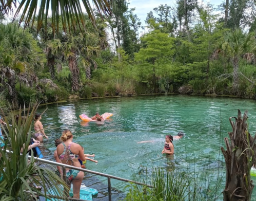 A serene natural swimming area surrounded by lush greenery, with people enjoying the water on a sunny day.