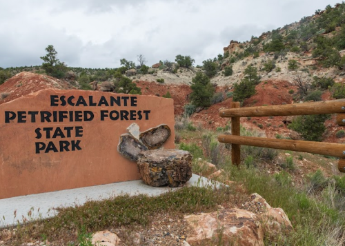 Sign for Escalante Petrified Forest State Park, with a scenic backdrop of red rock formations and greenery.