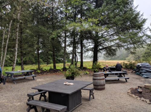 A rustic outdoor seating area with picnic tables surrounded by trees, overlooking a misty landscape.