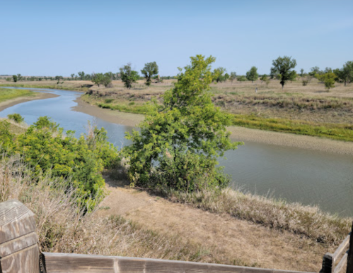 A serene river winding through a grassy landscape with sparse trees under a clear blue sky.