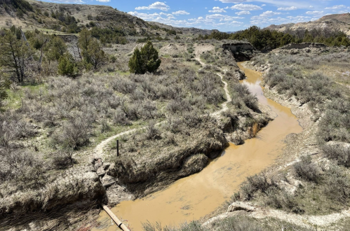 A winding, muddy river flows through a dry, grassy landscape under a blue sky with scattered clouds.