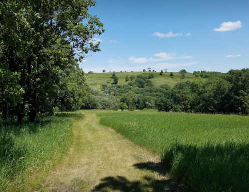 A winding path through lush green grass and trees, leading to rolling hills under a clear blue sky.