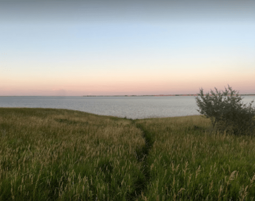 A serene landscape featuring tall grass leading to a calm body of water under a pastel sky at dusk.