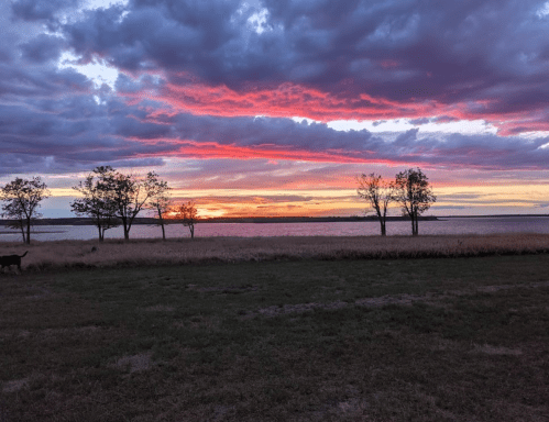 A vibrant sunset with pink and purple hues over a field, silhouetted trees lining the horizon.