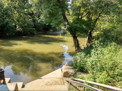 A serene river scene with lush greenery and stone steps leading down to the water's edge.