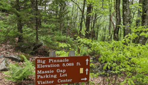 Signpost indicating directions to Big Pinnacle, Massie Gap parking lot, and visitor center in a lush green forest.