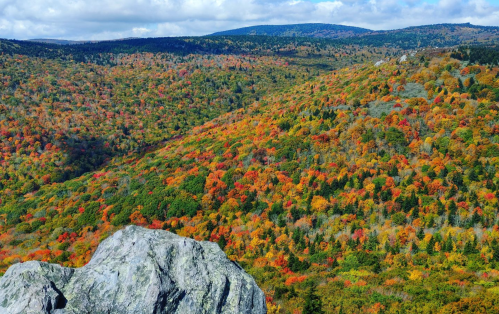 A vibrant landscape of autumn foliage with colorful trees covering rolling hills under a partly cloudy sky.