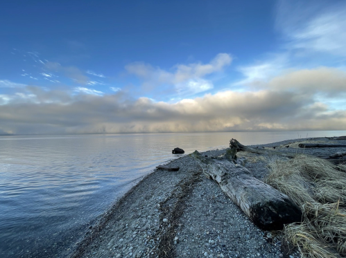 A serene shoreline with logs on the beach, calm water, and a cloudy sky reflecting soft light.