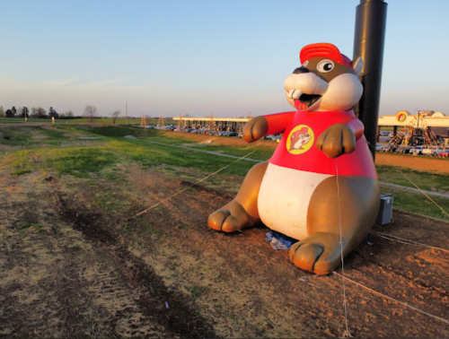 A large inflatable beaver wearing a red hat sits on a grassy area, with a clear sky in the background.