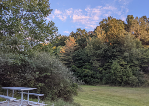 A picnic table in a grassy area, surrounded by trees and a clear blue sky with scattered clouds.
