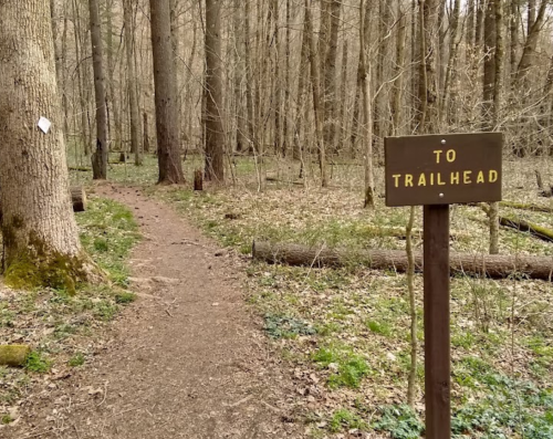 A dirt path leads through a forest, with a sign reading "To Trailhead" beside it. Trees surround the area.