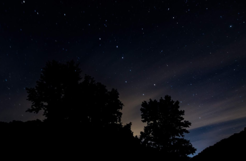 Silhouette of trees against a starry night sky with faint clouds and a soft glow on the horizon.