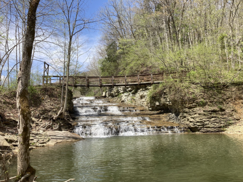 A serene waterfall cascades into a calm pool, with a wooden bridge and lush greenery in the background.