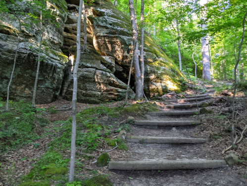 A forest path with wooden steps leading up to rocky cliffs, surrounded by lush green trees and foliage.