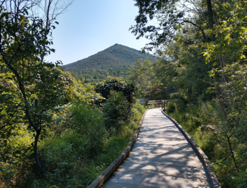 A scenic pathway through lush greenery, leading to a mountain under a clear blue sky.