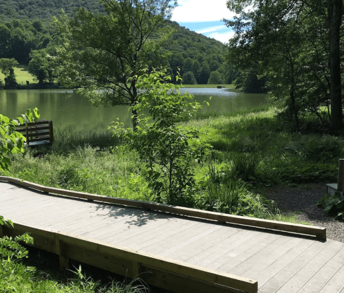 A wooden walkway leads to a serene lake surrounded by lush greenery and trees under a clear blue sky.