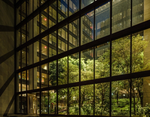 Night view of a modern building's glass facade, showcasing greenery and illuminated interiors.
