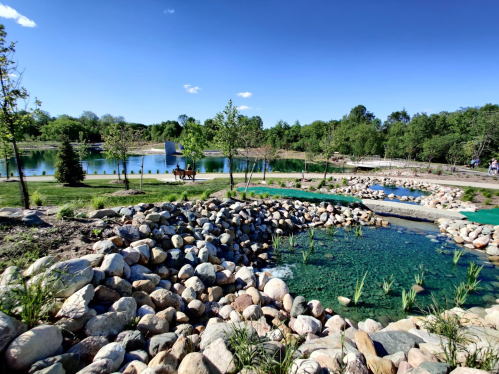 A serene park scene featuring a pond, lush greenery, and a horse grazing near a rocky stream under a clear blue sky.