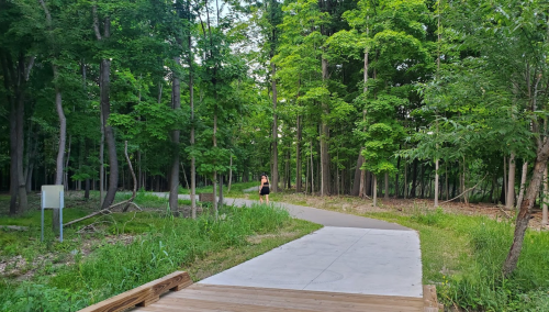 A winding path through a lush green forest, with a person walking in the distance.