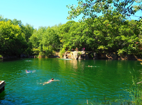 A serene green pond surrounded by trees, with people swimming and a rocky area in the background.