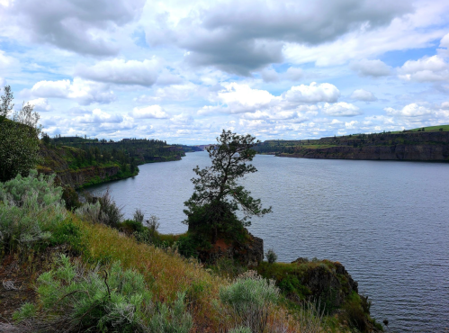 A scenic view of a river winding through green cliffs under a cloudy sky, with a lone tree on the edge.