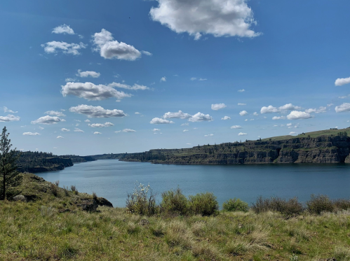 A serene landscape featuring a calm lake surrounded by green hills and a clear blue sky with fluffy clouds.