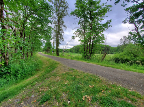A gravel path lined with trees, leading through a lush green landscape under a cloudy sky.