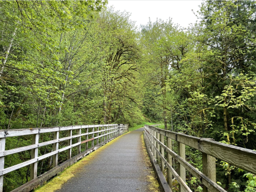 A serene pathway lined with lush green trees, bordered by a wooden railing, inviting exploration in nature.