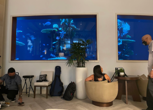A woman sits in a large bowl-shaped chair, with an aquarium backdrop and people setting up equipment nearby.