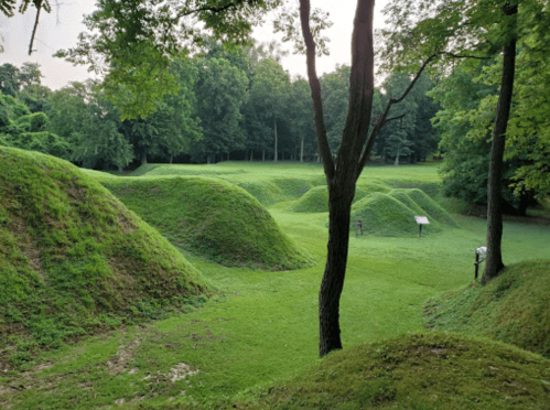 Lush green landscape featuring grassy mounds and trees, creating a serene outdoor scene.