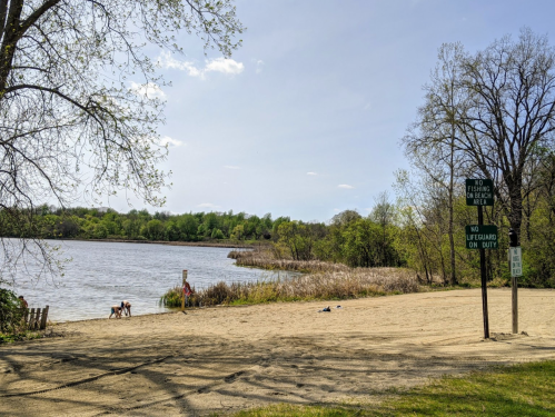 A sandy beach by a lake with a sign indicating no lifeguard on duty, surrounded by trees and a clear blue sky.