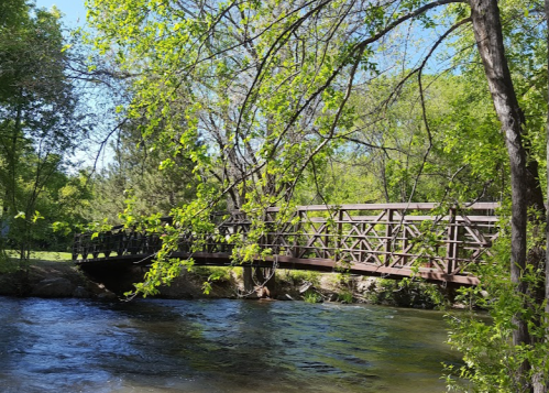 A wooden bridge spans a flowing river, surrounded by lush green trees and a clear blue sky.