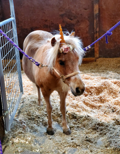 A small pony with a unicorn horn and flowers in its mane stands in a stable with straw on the ground.